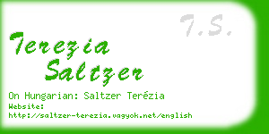 terezia saltzer business card