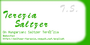 terezia saltzer business card